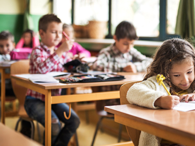 school-establishment-solutions